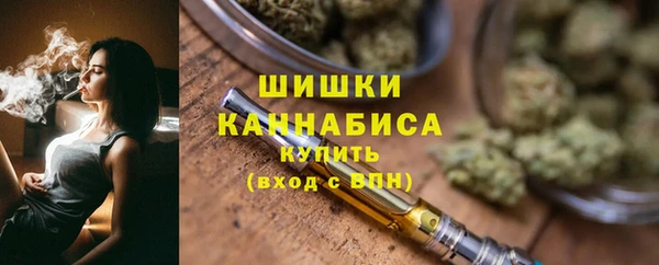PSILOCYBIN Лабытнанги