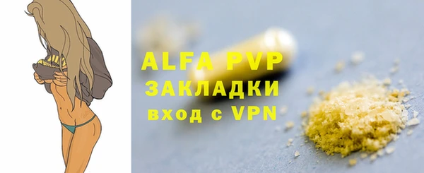 PSILOCYBIN Лабытнанги