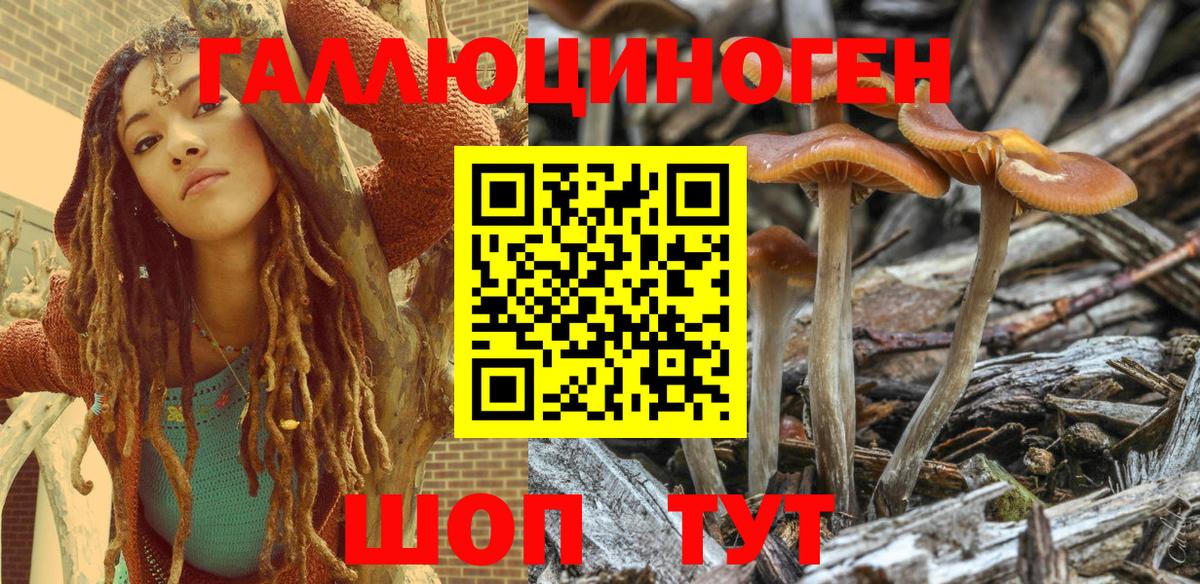 Галлюциногенные грибы MAGIC MUSHROOMS  Тейково  Псилоцибиновые грибы Magic Shrooms 
