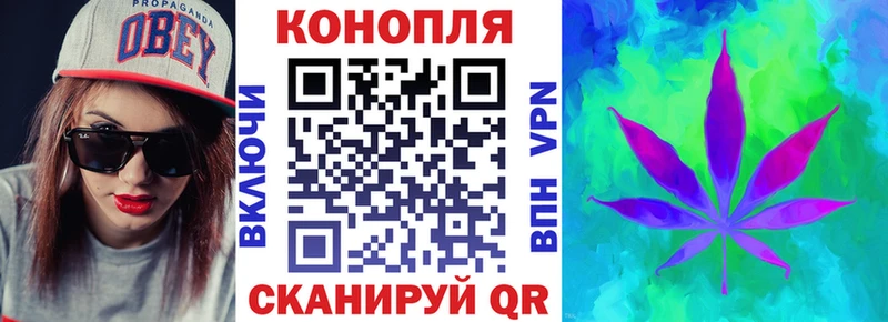 Канабис конопля  нарко площадка состав  Тейково 